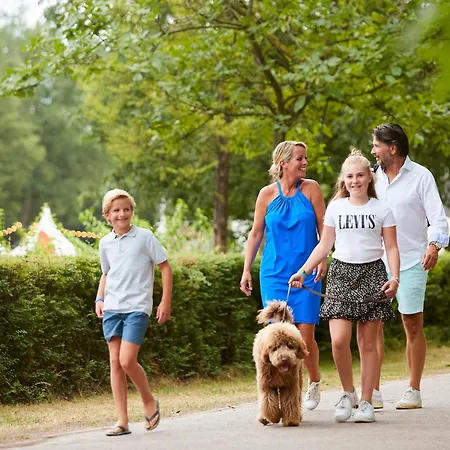 Forest Cube 2 Persons #708 2 Persoons Holiday home Maasbree